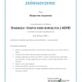 Powiększ obraz: certificate 1