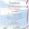 Powiększ obraz: certificate 6