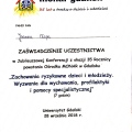 Powiększ obraz: certificate 10