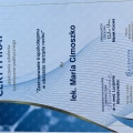 Powiększ obraz: certificate 7