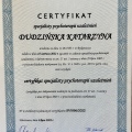 Powiększ obraz: certificate 1
