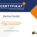 Powiększ obraz: certificate 11