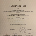 Powiększ obraz: certificate 2
