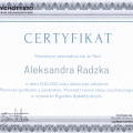 Powiększ obraz: certificate 2