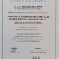 Powiększ obraz: certificate 6