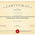 Powiększ obraz: certificate 21