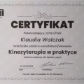 Powiększ obraz: certificate 3