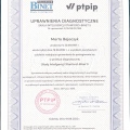 Powiększ obraz: certificate 1