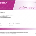 Powiększ obraz: certificate 7