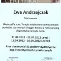 Powiększ obraz: certificate 19