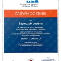 Powiększ obraz: certificate 3