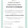 Powiększ obraz: certificate 1