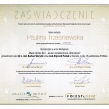 Powiększ obraz: certificate 2