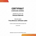 Powiększ obraz: certificate 14