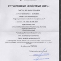 Powiększ obraz: certificate 13