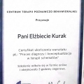 Powiększ obraz: certificate 12