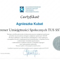 Powiększ obraz: certificate 9