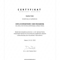 Powiększ obraz: certificate 3