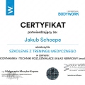 Powiększ obraz: certificate 4
