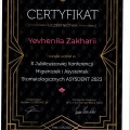 Powiększ obraz: certificate 5