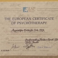 Powiększ obraz: certificate 1