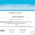 Powiększ obraz: certificate 6