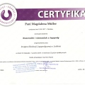 Powiększ obraz: certificate 22