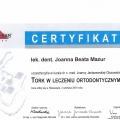 Powiększ obraz: certificate 33