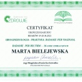 Powiększ obraz: certificate 9