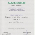 Powiększ obraz: certificate 46
