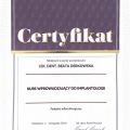 Powiększ obraz: certificate 17