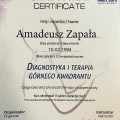 Powiększ obraz: certificate 11