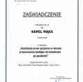 Powiększ obraz: certificate 1