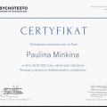 Powiększ obraz: certificate 2