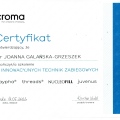 Powiększ obraz: certificate 9