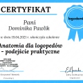 Powiększ obraz: certificate 7