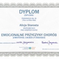Powiększ obraz: certificate 6