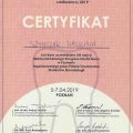 Powiększ obraz: certificate 11