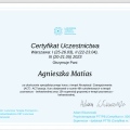 Powiększ obraz: certificate 1