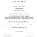 Powiększ obraz: certificate 5
