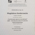 Powiększ obraz: certificate 6