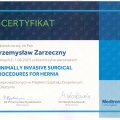 Powiększ obraz: certificate 1