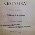 Powiększ obraz: certificate 29