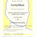 Powiększ obraz: certificate 23