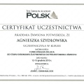 Powiększ obraz: certificate 5