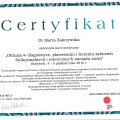 Powiększ obraz: certificate 7