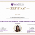 Powiększ obraz: certificate 4