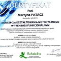 Powiększ obraz: certificate 4