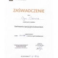 Powiększ obraz: certificate 2