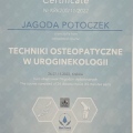 Powiększ obraz: certificate 4